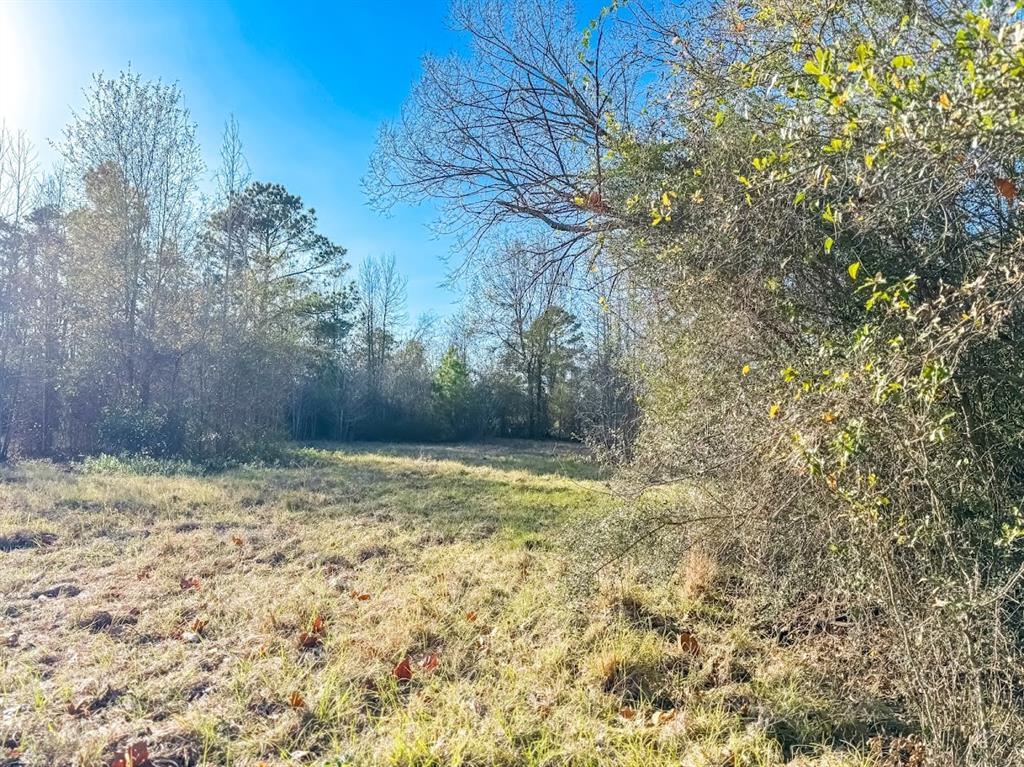 1085 Duke Road Property Photo 4