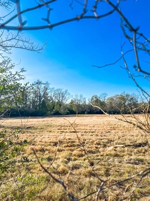 1085 Duke Road Property Photo 5