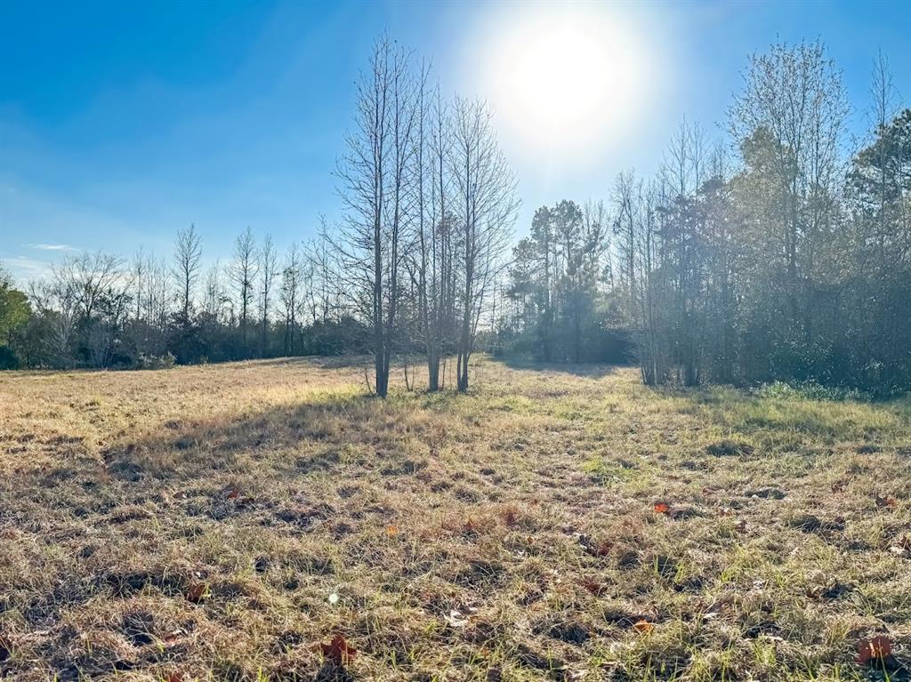 1085 Duke Road Property Photo 7