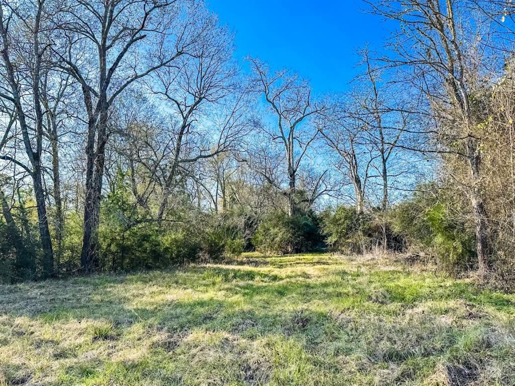 1085 Duke Road Property Photo 8