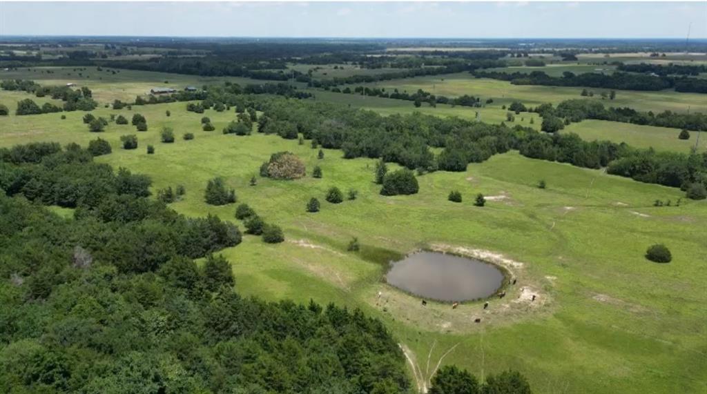 Tbd Fm 499 Property Photo 1