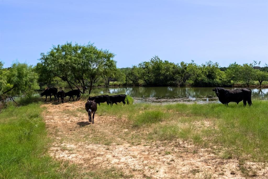 17921 Tx-16 Property Photo 28