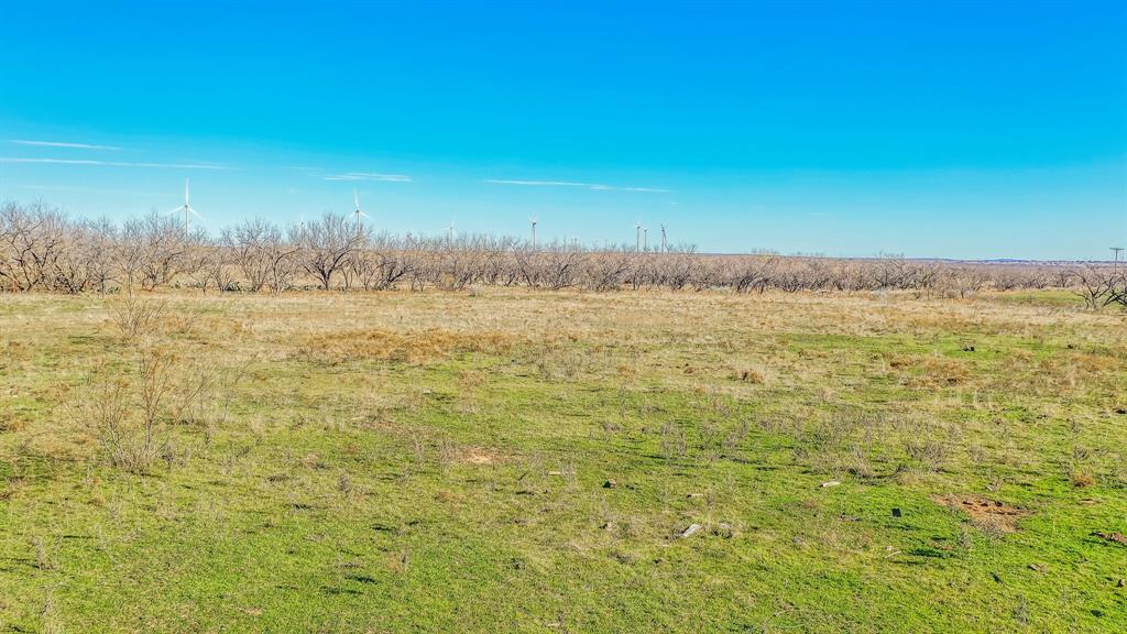 9234 Fm 209 Property Photo 10