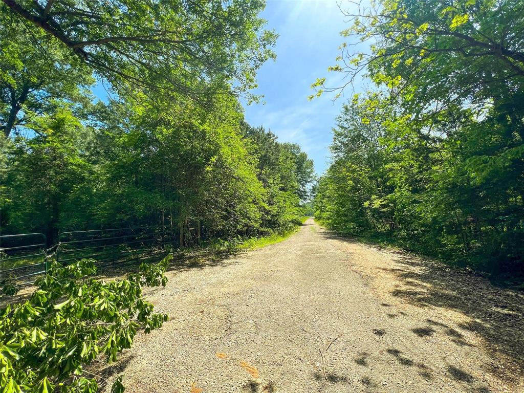 Tbd Fm-195 Property Photo