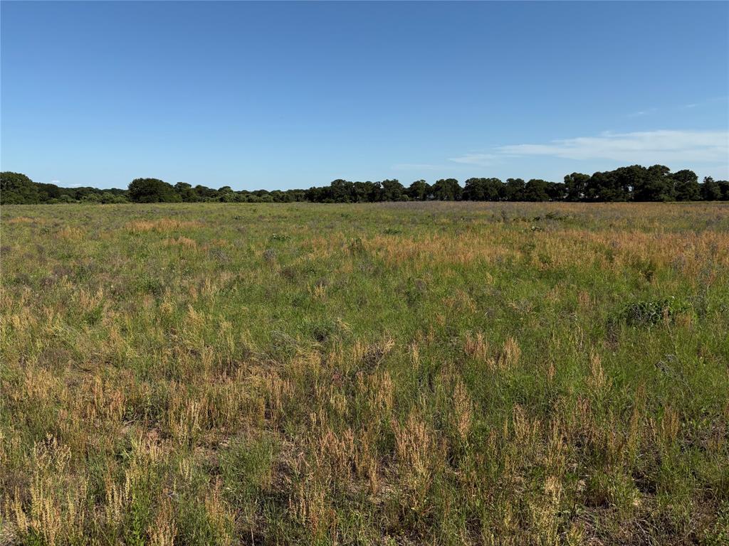 Tbd Mineral Wells Highway Property Photo 1
