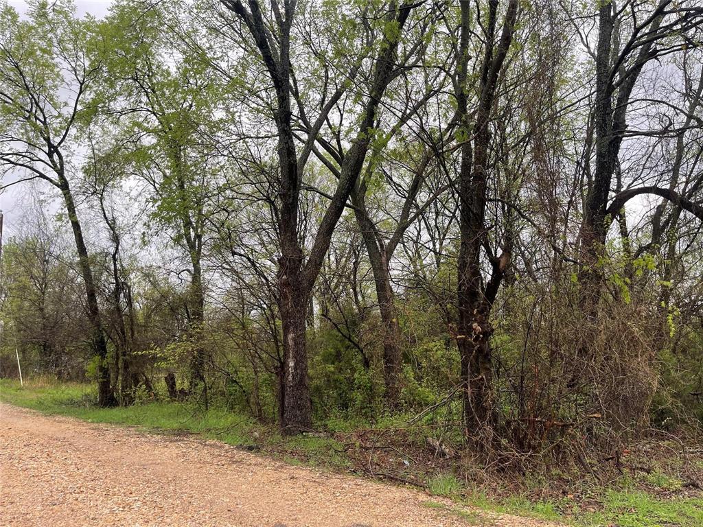 246 4th Street Property Photo 4