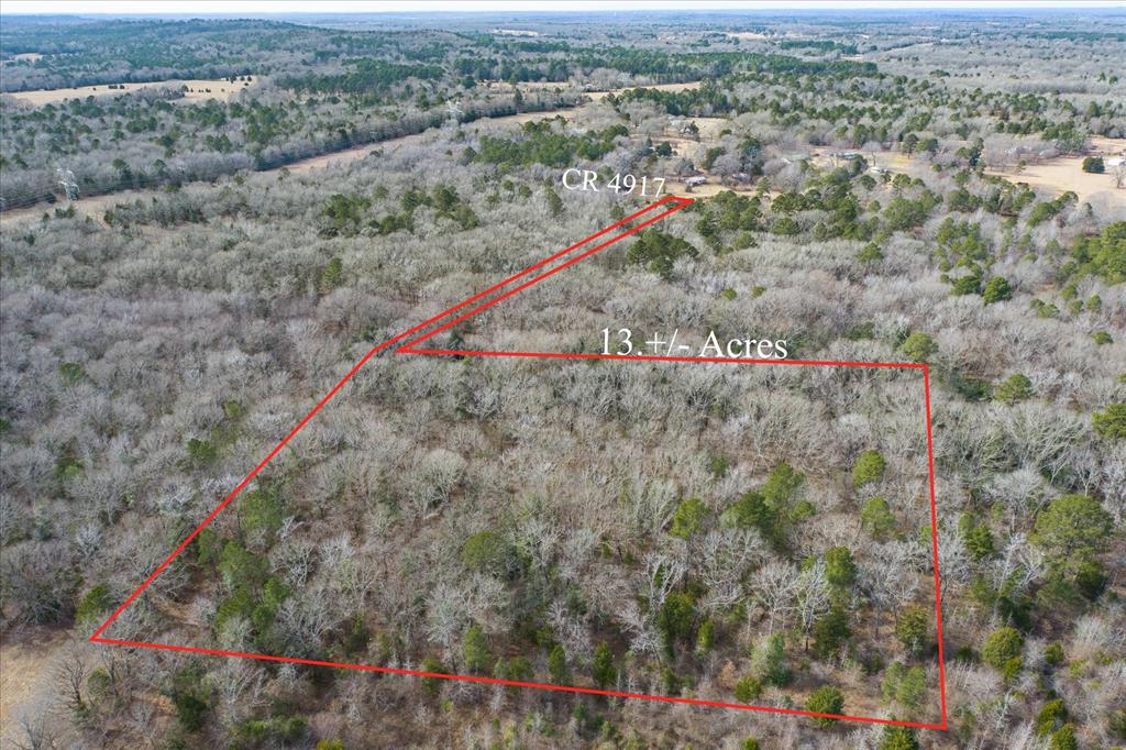Tbd County Road 4917 Property Photo 6