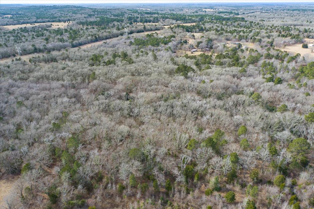 Tbd County Road 4917 Property Photo 7