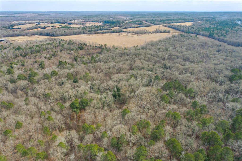 Tbd County Road 4917 Property Photo 10