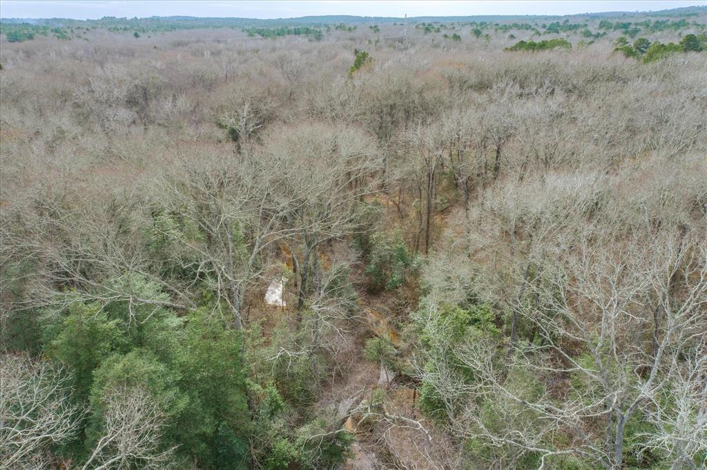 Tbd County Road 4917 Property Photo 13