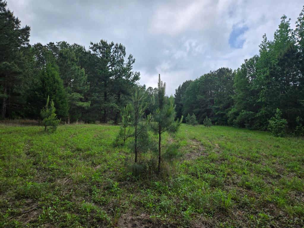 500 Uren Lee Road Property Photo