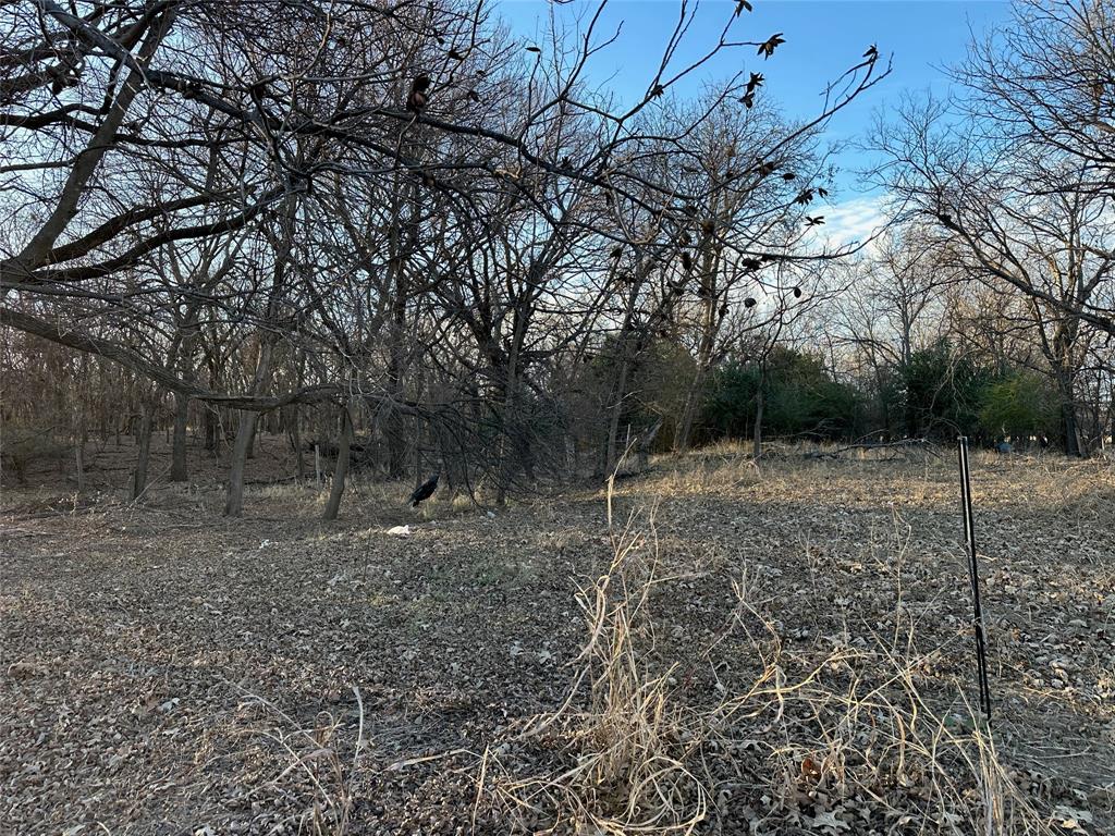 1013 Lillie Kimble Street Property Photo 1