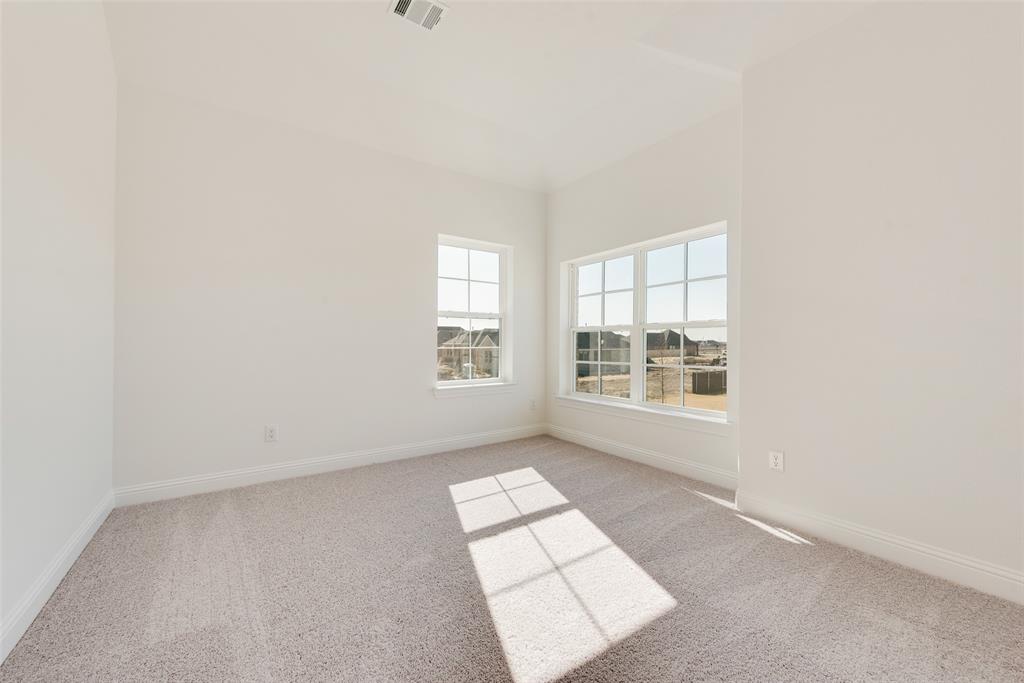 3542 Coneflower Trail Property Photo 18