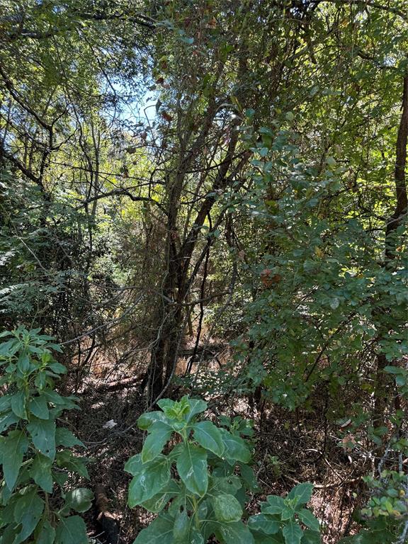 15037 Golf Drive Property Photo 2
