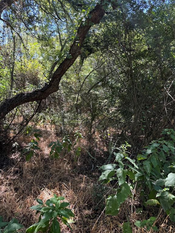 15037 Golf Drive Property Photo 3