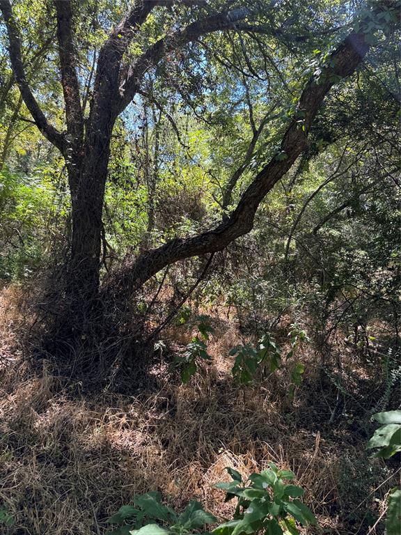 15037 Golf Drive Property Photo 4