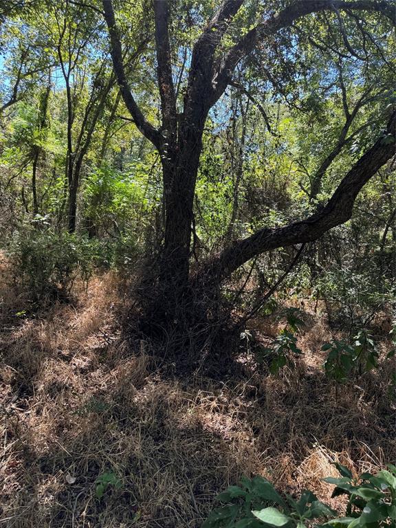 15037 Golf Drive Property Photo 5