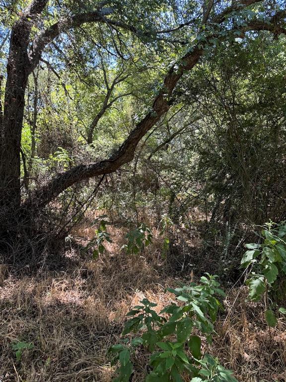 15037 Golf Drive Property Photo 7