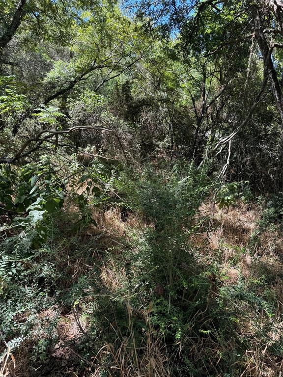 15037 Golf Drive Property Photo 9