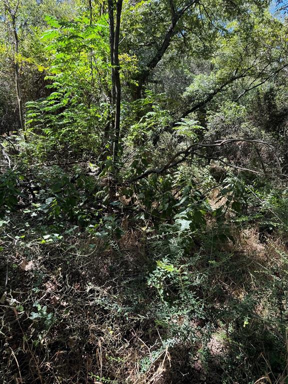 15037 Golf Drive Property Photo 10