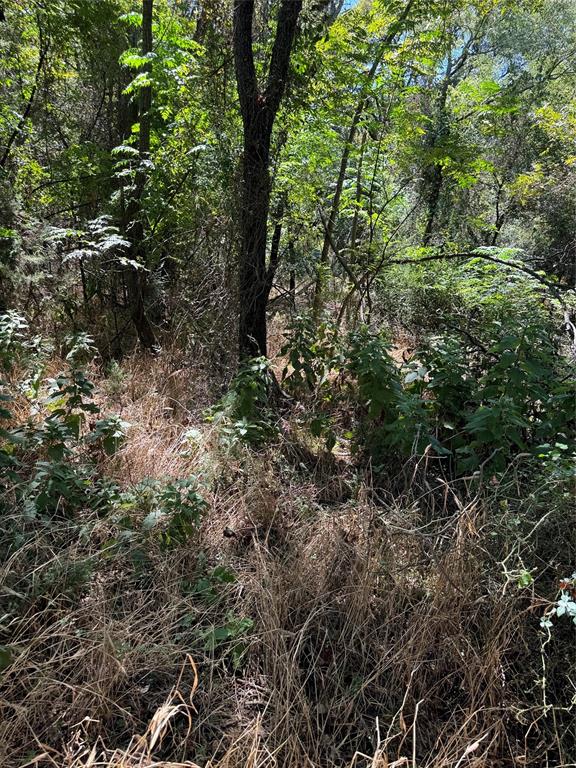 15037 Golf Drive Property Photo 11