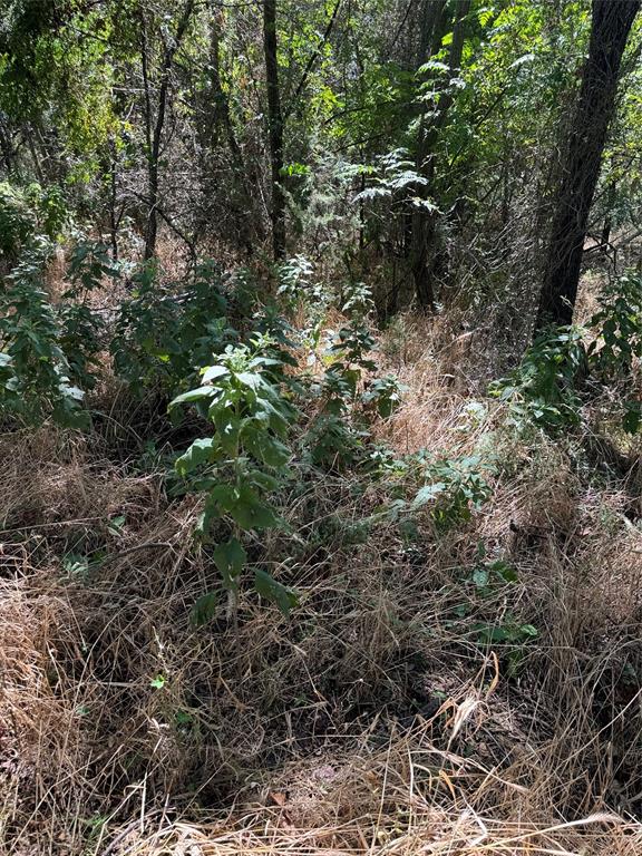 15037 Golf Drive Property Photo 12