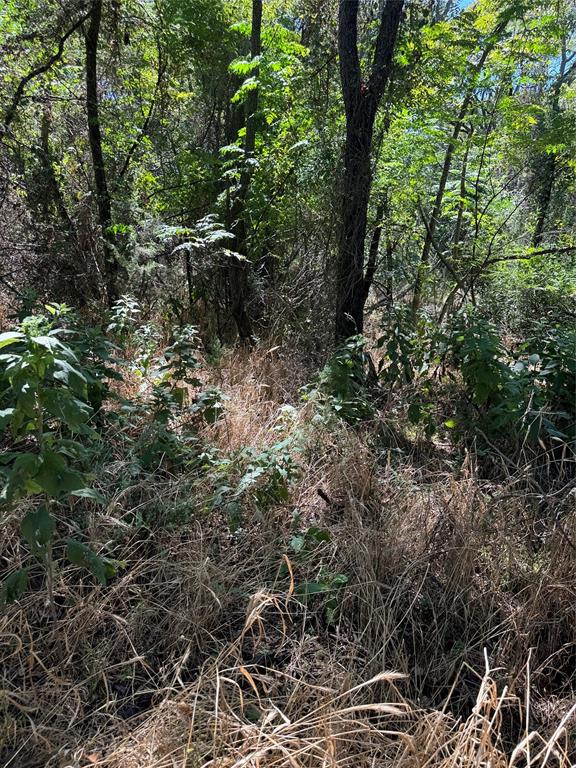 15037 Golf Drive Property Photo 13