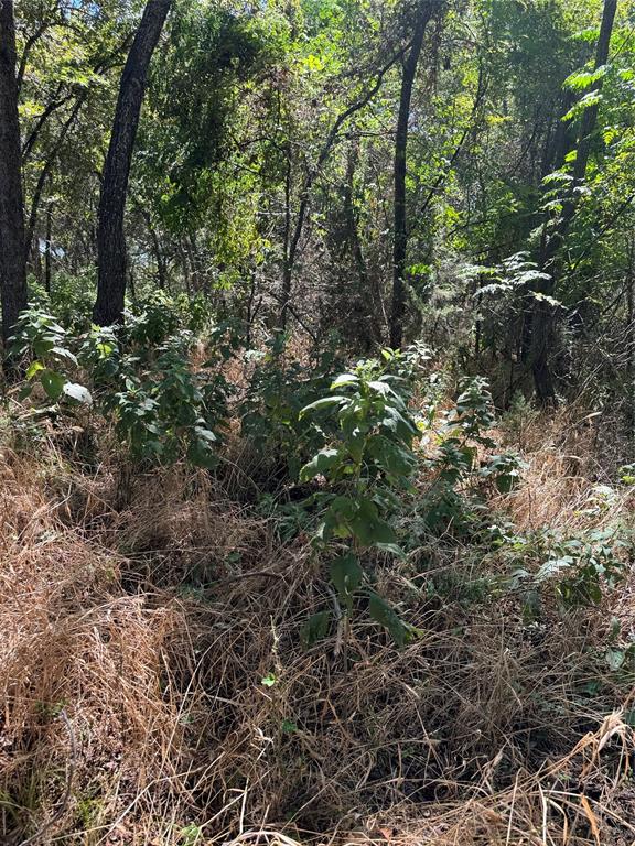 15037 Golf Drive Property Photo 14