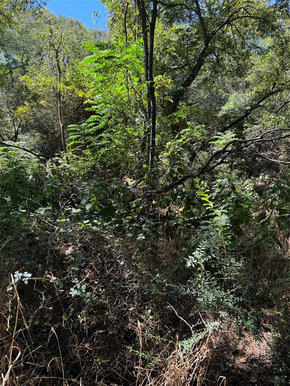 15037 Golf Drive Property Photo 15