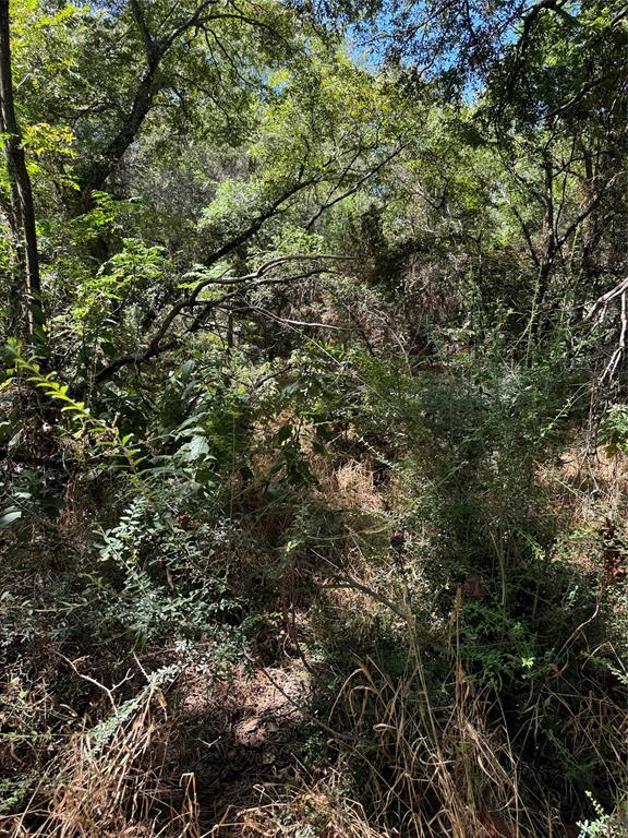 15037 Golf Drive Property Photo 16