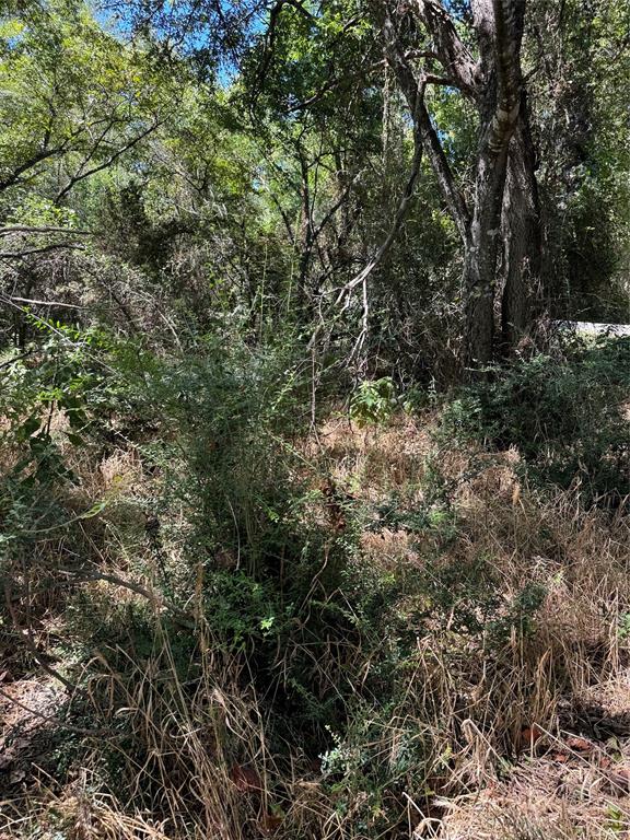 15037 Golf Drive Property Photo 17