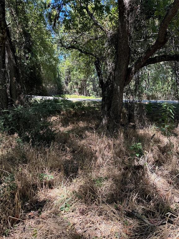 15037 Golf Drive Property Photo 19