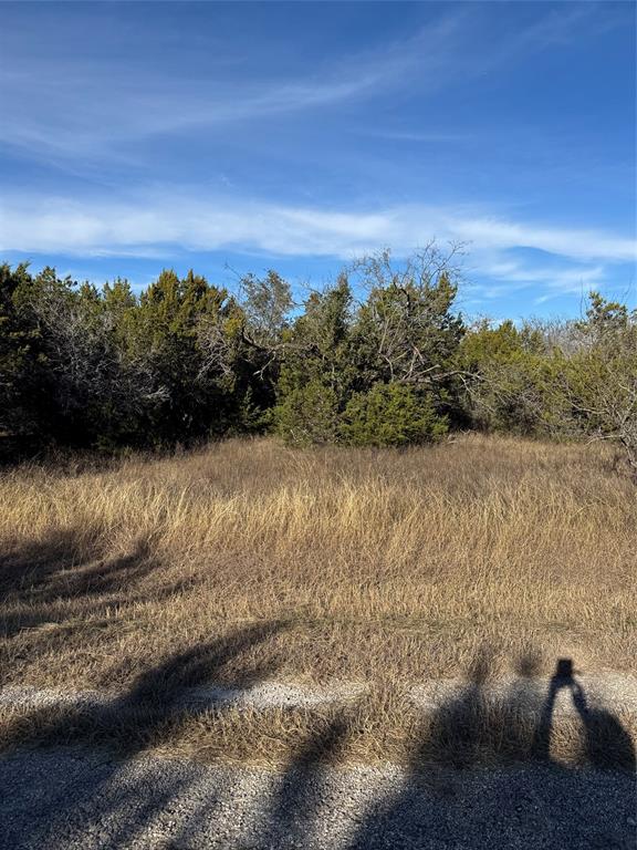 44125 Cedar Hill Drive Property Photo 1