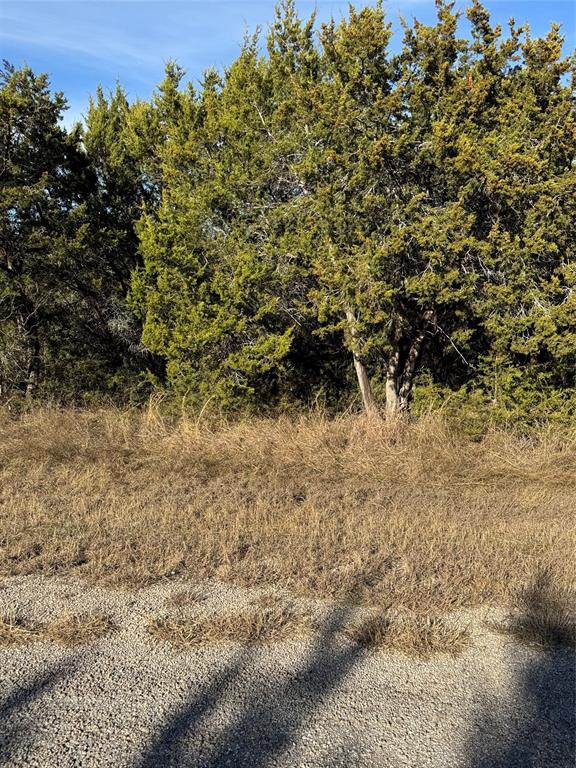 44125 Cedar Hill Drive Property Photo 6