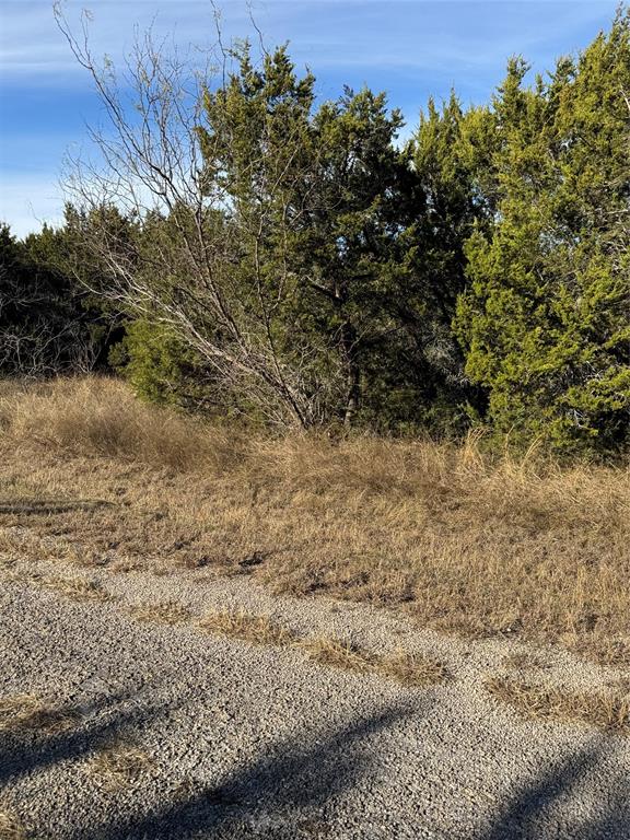 44125 Cedar Hill Drive Property Photo 7