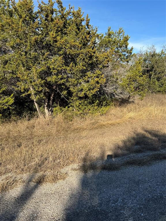 44125 Cedar Hill Drive Property Photo 8