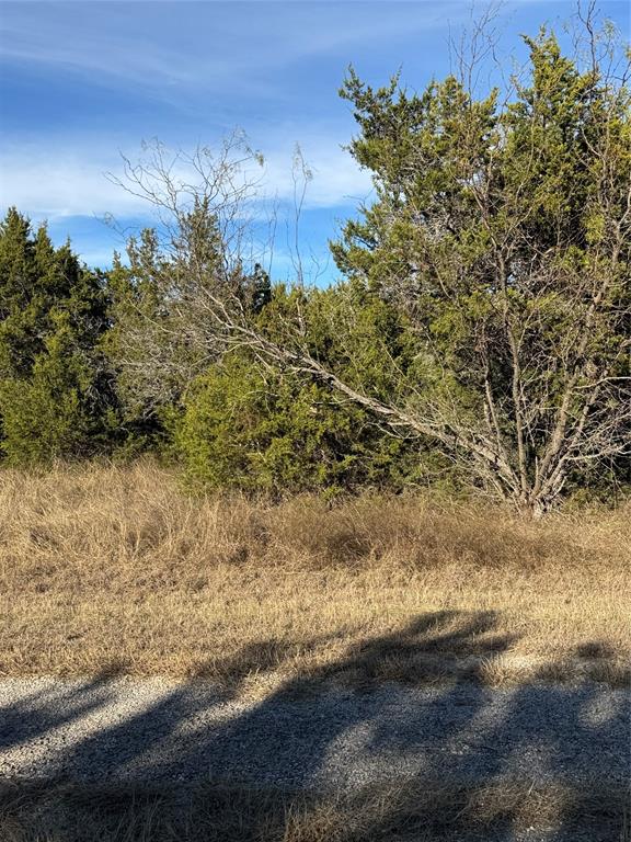 44125 Cedar Hill Drive Property Photo 11