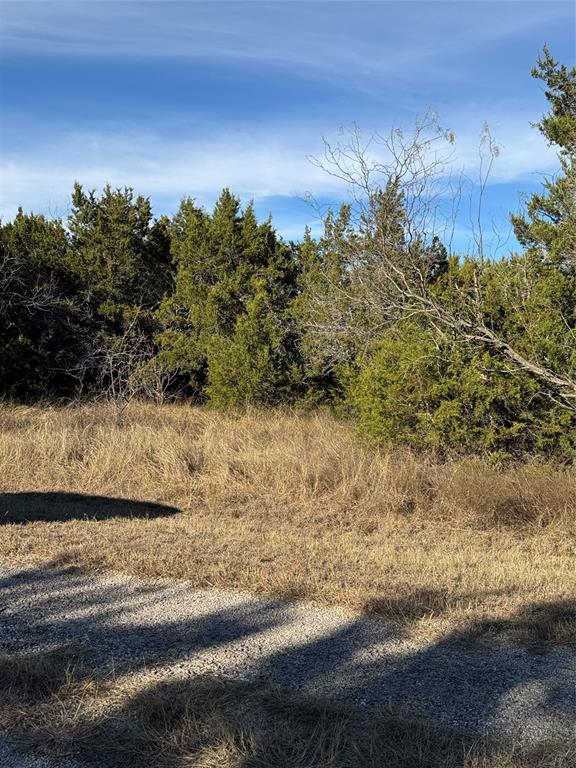 44125 Cedar Hill Drive Property Photo 12