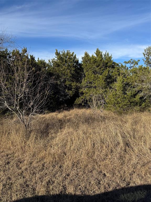 44125 Cedar Hill Drive Property Photo 13
