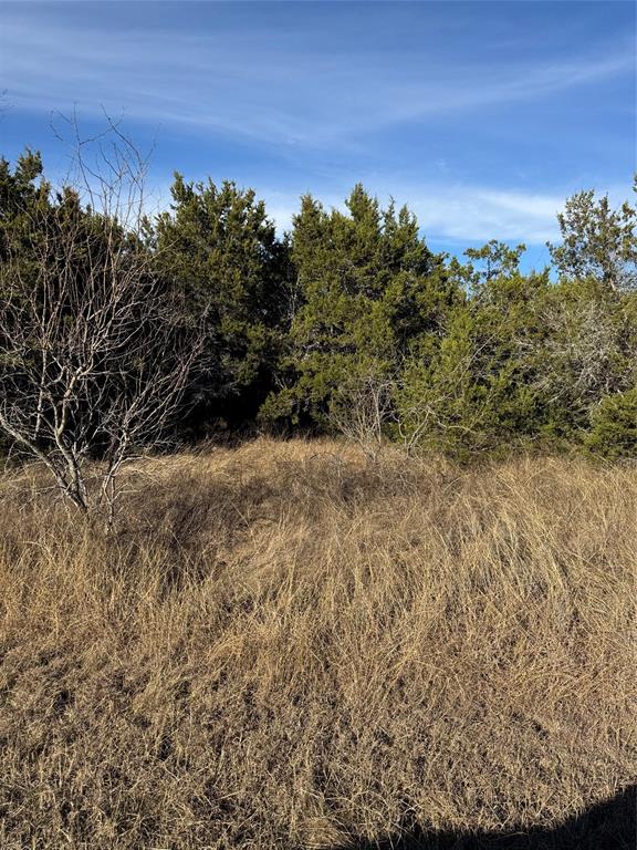 44125 Cedar Hill Drive Property Photo 14