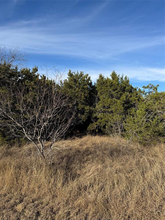 44125 Cedar Hill Drive Property Photo 16