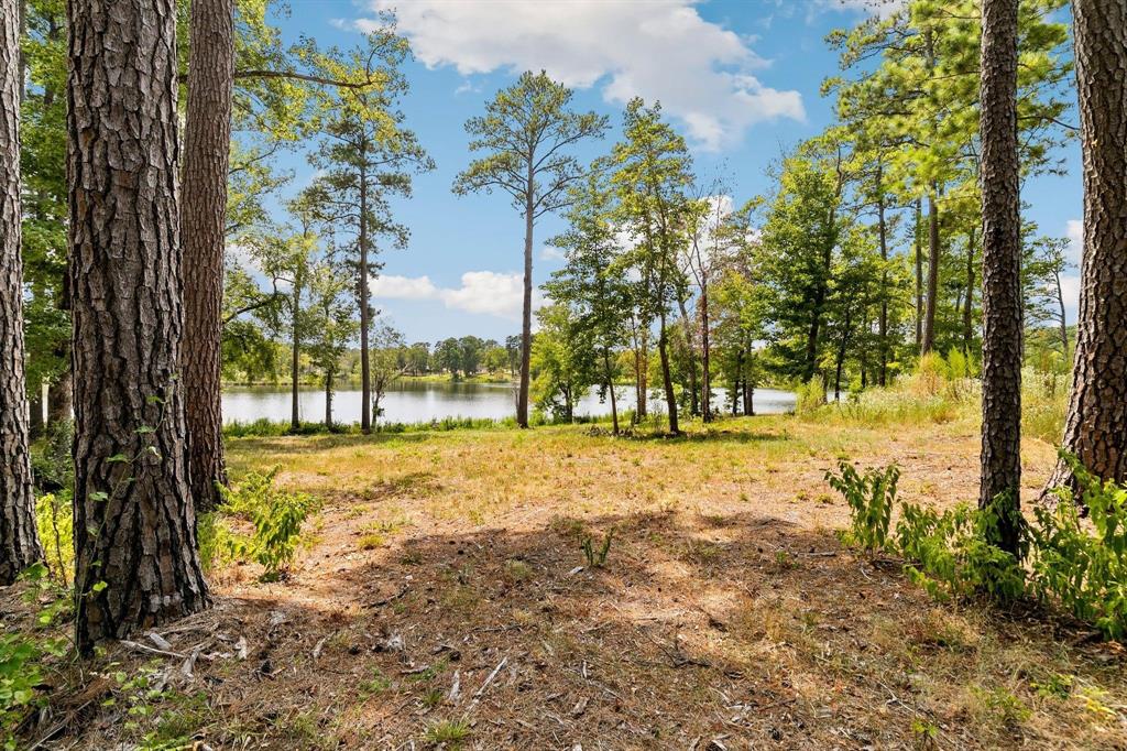 Lot 40 Big Rock Lake Road Property Photo 7
