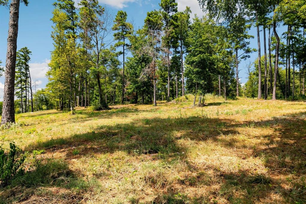 Lot 40 Big Rock Lake Road Property Photo 9