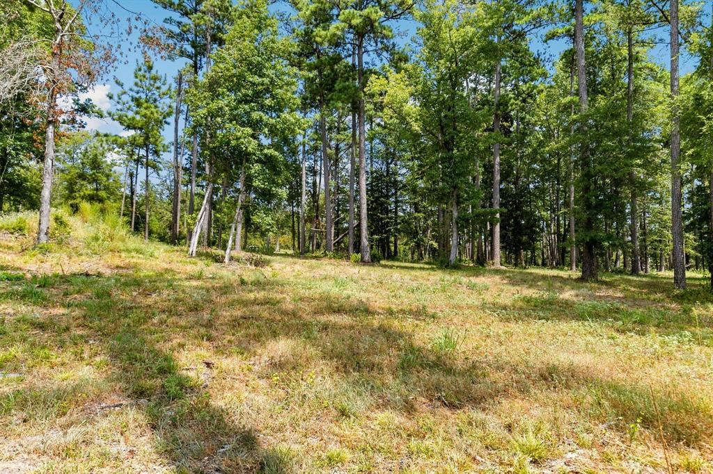 Lot 40 Big Rock Lake Road Property Photo 10