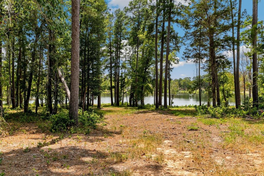 Lot 40 Big Rock Lake Road Property Photo 11