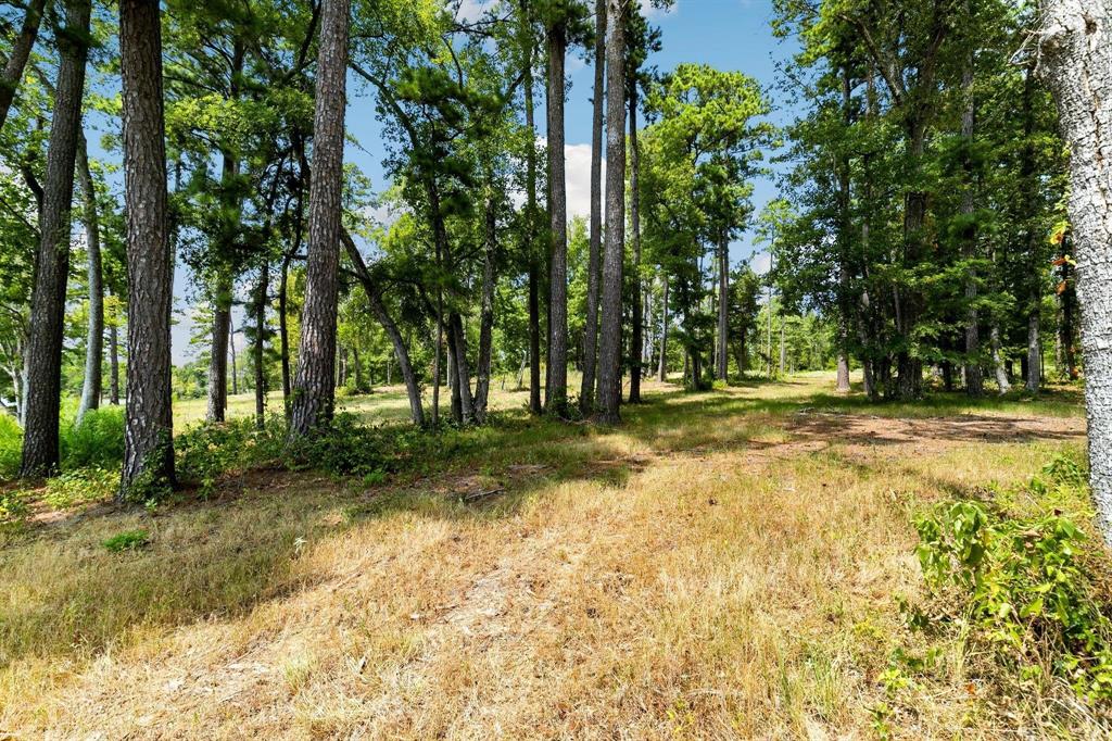 Lot 40 Big Rock Lake Road Property Photo 12