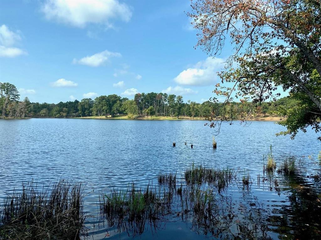 Lot 40 Big Rock Lake Road Property Photo 24