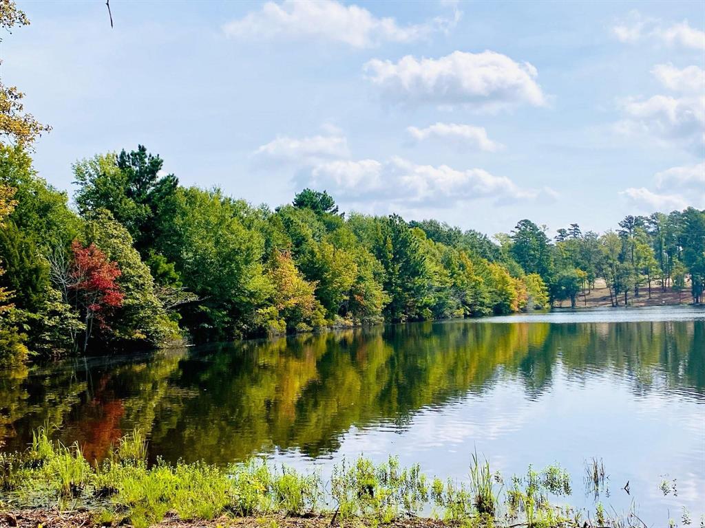 Lot 40 Big Rock Lake Road Property Photo 25