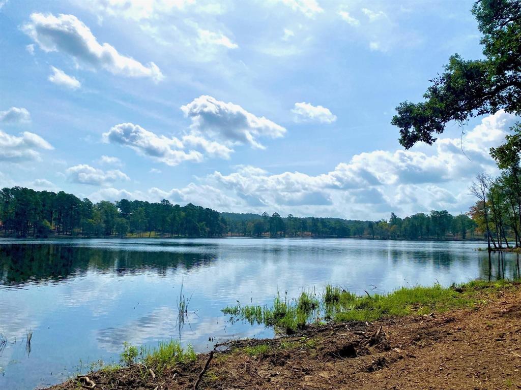 Lot 40 Big Rock Lake Road Property Photo 27
