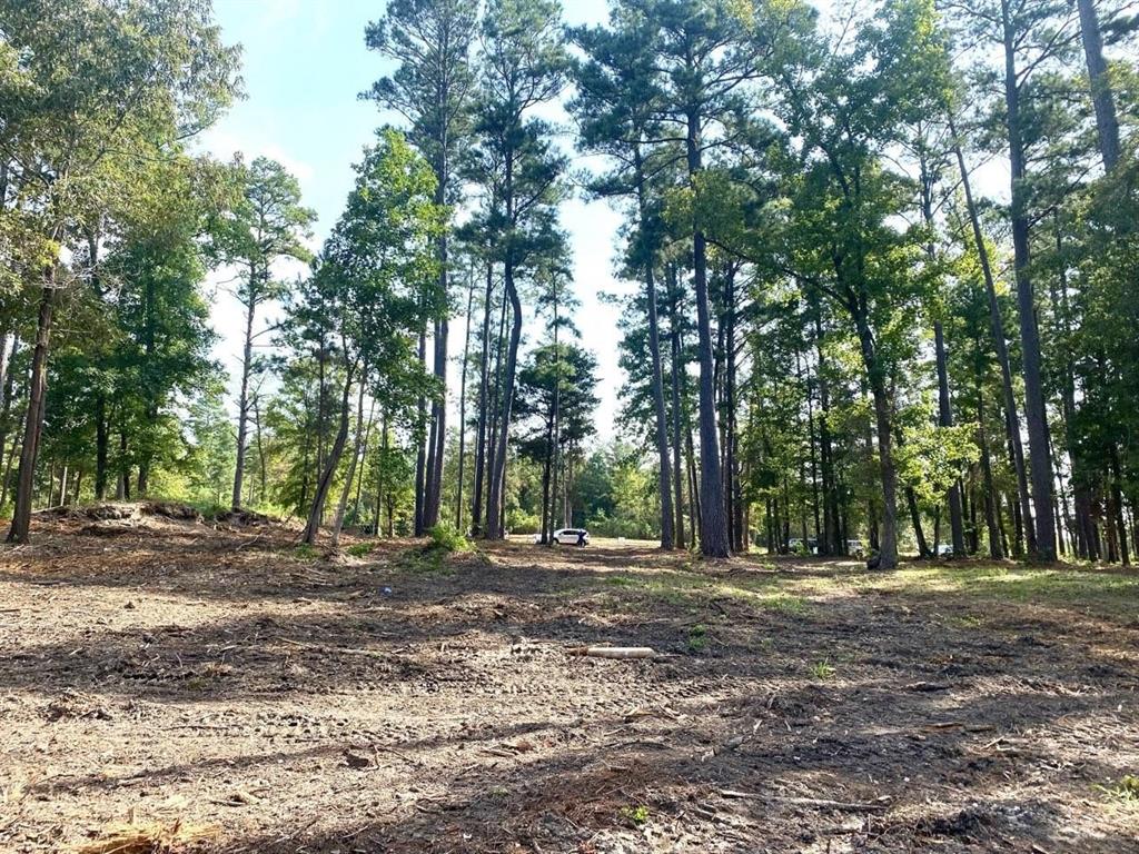 Lot 40 Big Rock Lake Road Property Photo 28